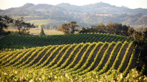 Jordan Vineyard & Winery